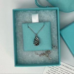 Tiffany & Co. Silver Picasso Venezia Luce Small Spiral 16” Necklace Pendant